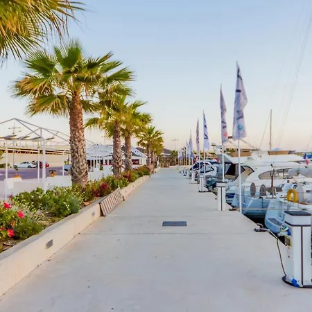 Alegria Id 56 *